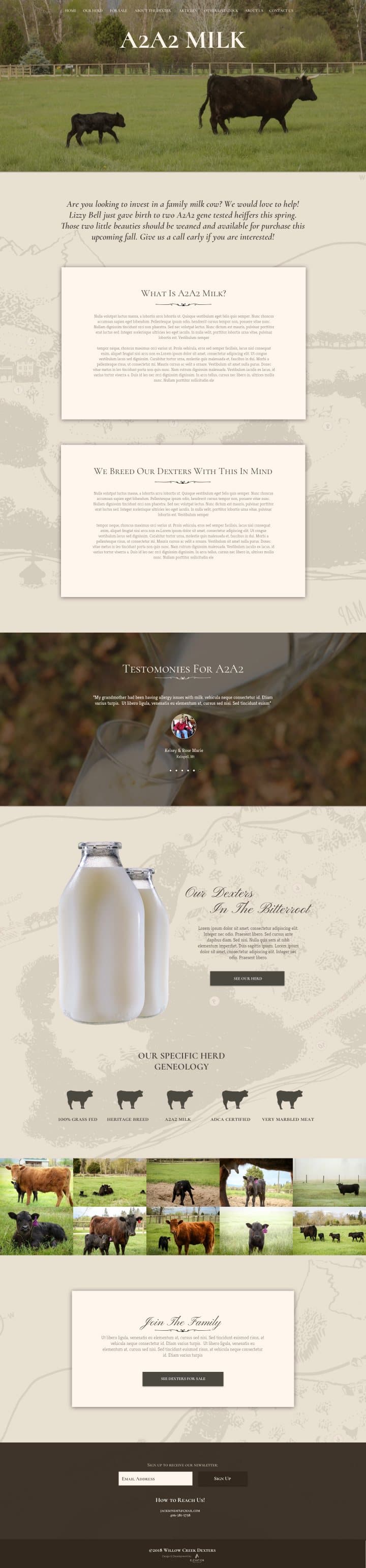 The A2A2 milk page, explaining the herd's genetics and available stock