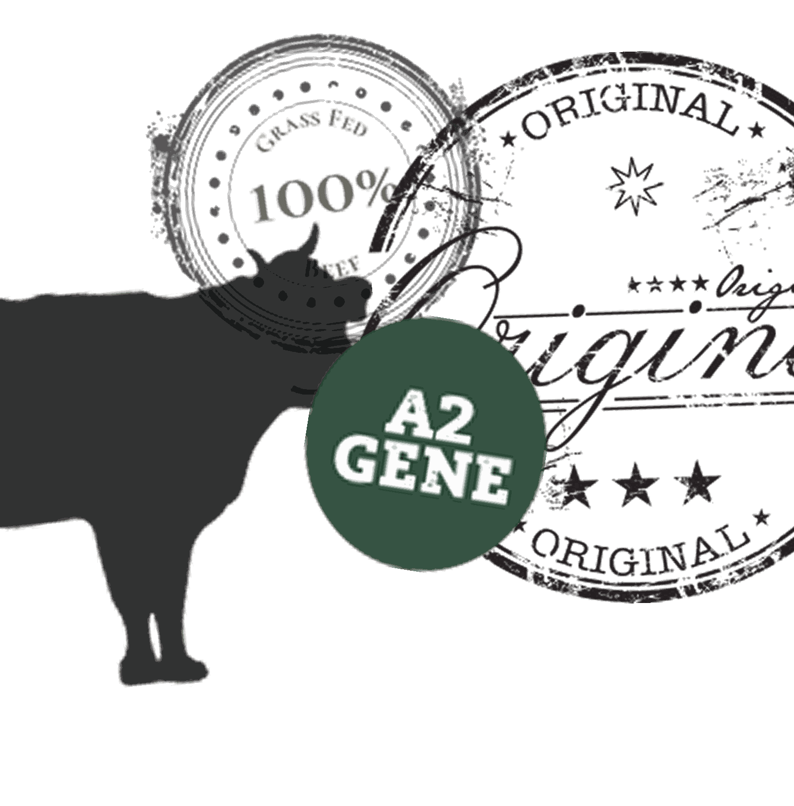 Hand-built brand marks for the farmstead: a grass-fed beef stamp, an Original seal, an A2 gene badge and a Dexter cow silhouette