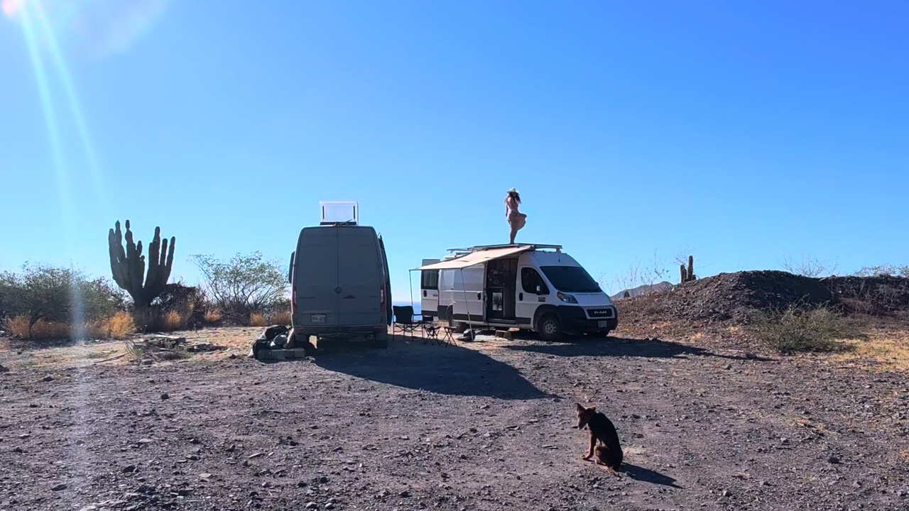 Two vans parked in the Mexican desert beside a tall cactus, with Kelsey standing on the roof of one and a dog sitting in the foreground